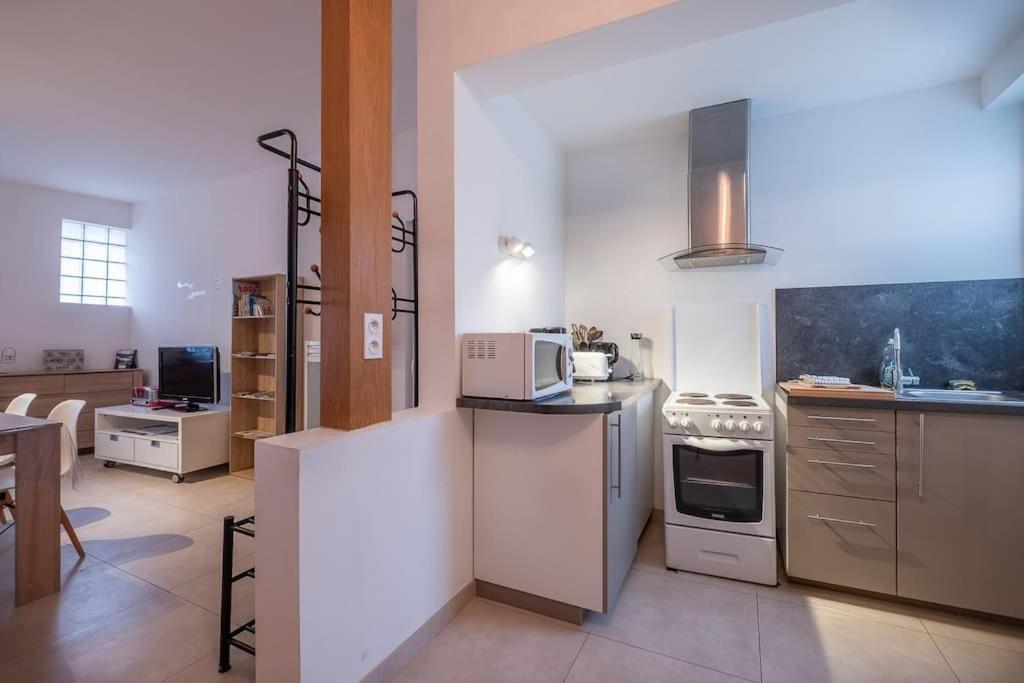 Le Dauphin Apartment Amboise Ngoại thất bức ảnh